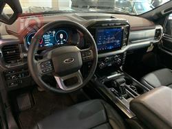 فۆرد F-150